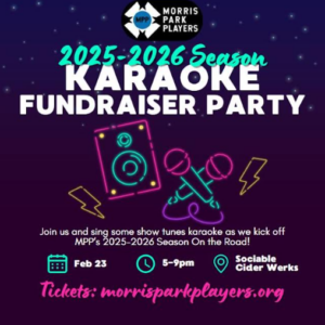 Karaoke Fundraiser Party